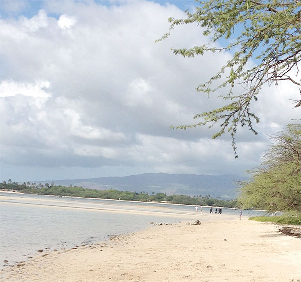 beach-hawaii