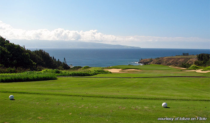 Kapalua golf course